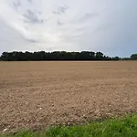 Heiderast Wipperau