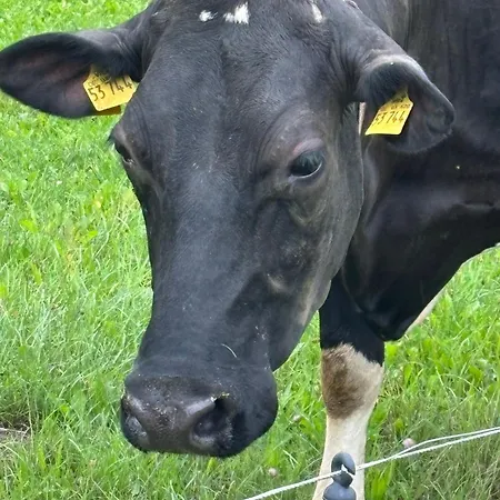 Apartment Heiderast Wipperau