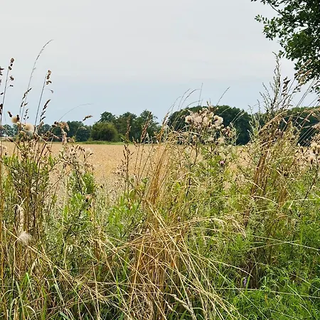 Appartement Heiderast Wipperau *