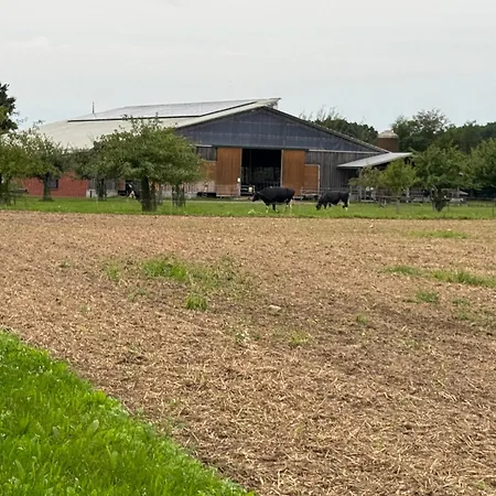 Heiderast Wipperau Oetzen