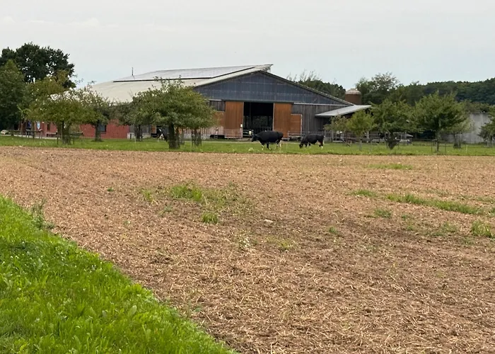 Daire Heiderast Wipperau Oetzen