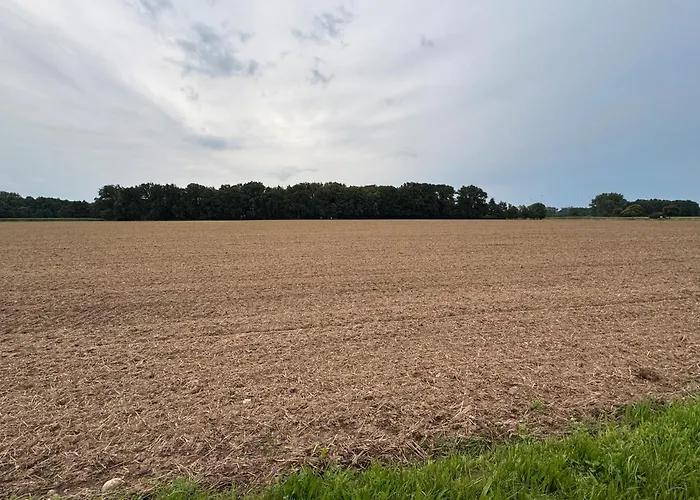 Heiderast Wipperau Daire Oetzen