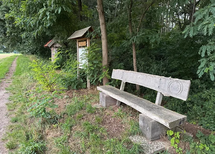 Heiderast Wipperau Daire