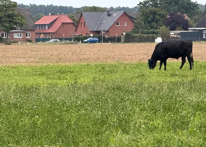 Heiderast Wipperau Daire